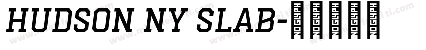 Hudson NY Slab字体转换